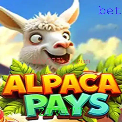 Descubra AlpacaPays: O Jogo que Revoluciona com ZIV777