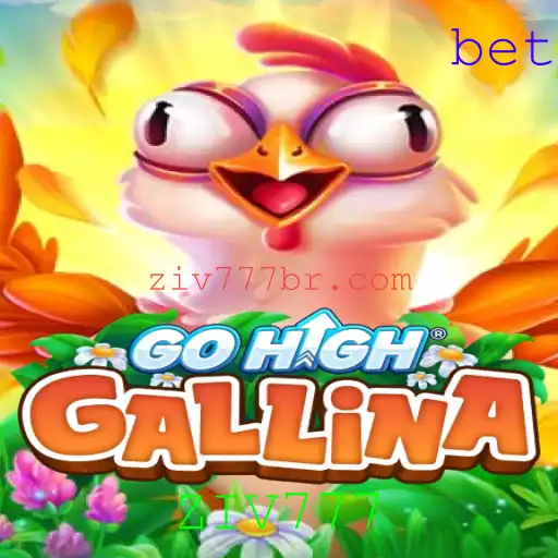 Explorando o Mundo de GoHighGallina: Um Guia Completo